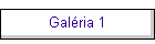 Galria 1