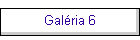 Galria 6
