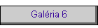 Galria 6