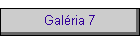 Galria 7